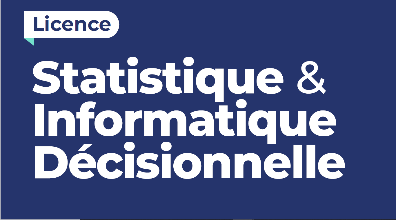 STATISTIQUE & INFORMATIQUE DECISIONNELLE